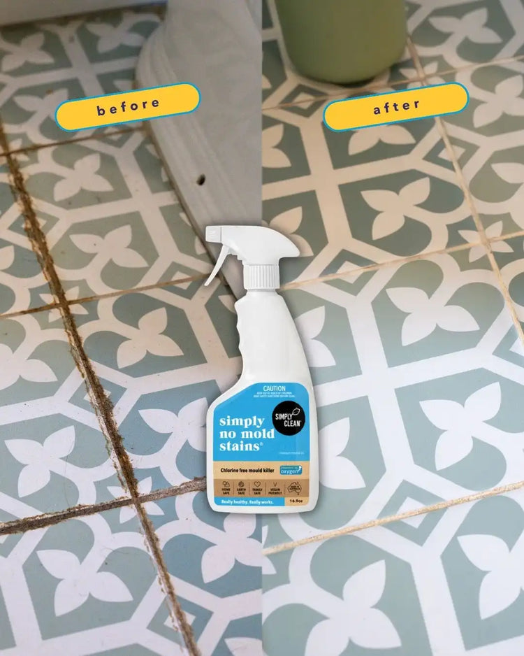 Simply No Mold Stains Bathroom